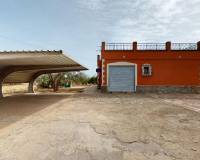 Sale - Single family house - Elche pedanias - Llano de san jose