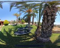 Alquiler a largo plazo - Casa - Elche - La Galia-Bonavista