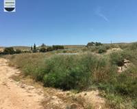 Alquiler a largo plazo - Solar - Torrellano