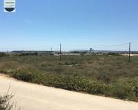 Alquiler a largo plazo - Solar - Torrellano