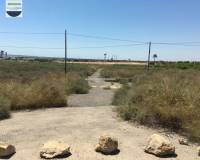 Alquiler a largo plazo - Solar - Torrellano