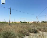 Alquiler a largo plazo - Solar - Torrellano