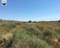 Alquiler a largo plazo - Solar - Torrellano