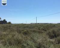 Alquiler a largo plazo - Solar - Torrellano