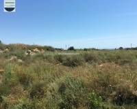 Alquiler a largo plazo - Solar - Torrellano