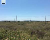 Alquiler a largo plazo - Solar - Torrellano