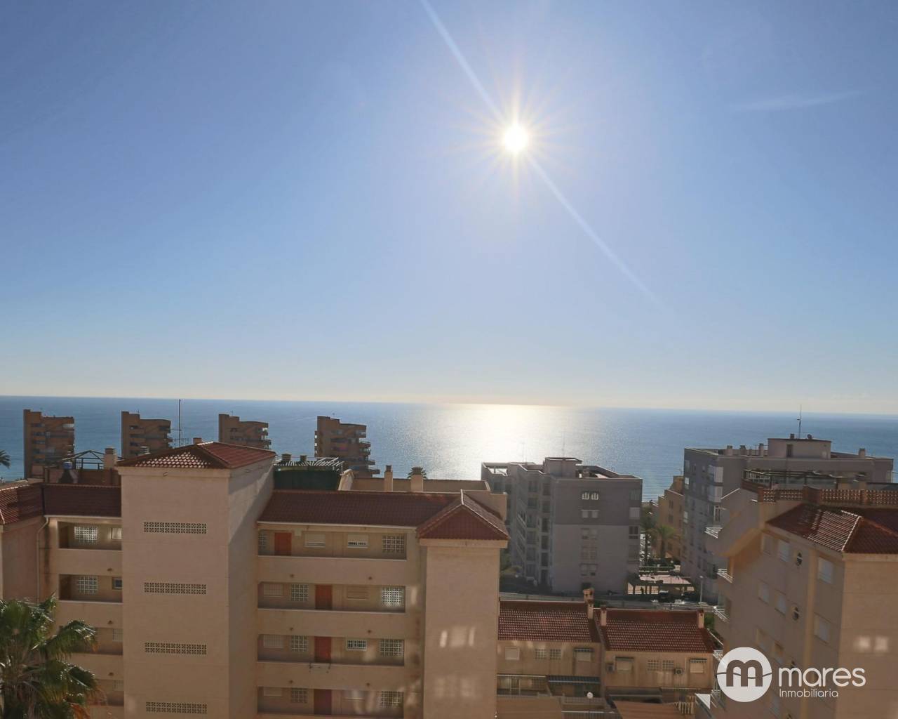 Apartment - Sale - Arenales del sol - Arenales del Sol