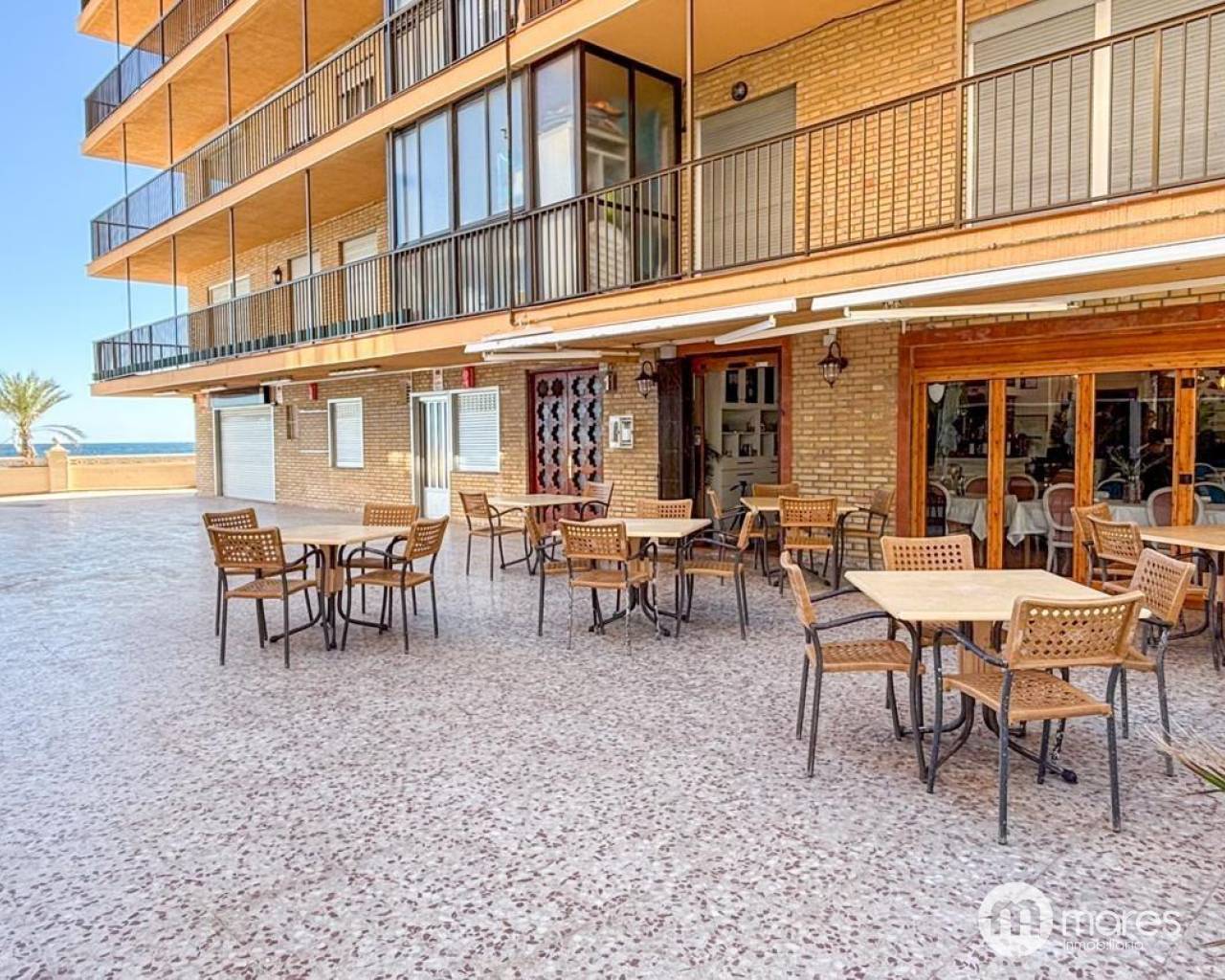 Business Premise - Sale - Arenales del sol - Arenales del Sol