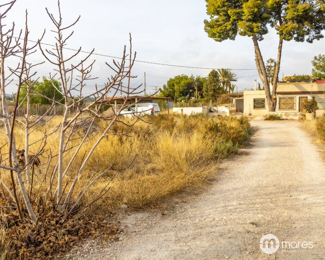 Chalet - Venta - Elche - Carrus