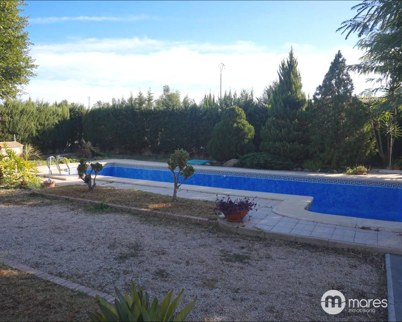 Chalet - Venta - Elche pedanias - Alzabares