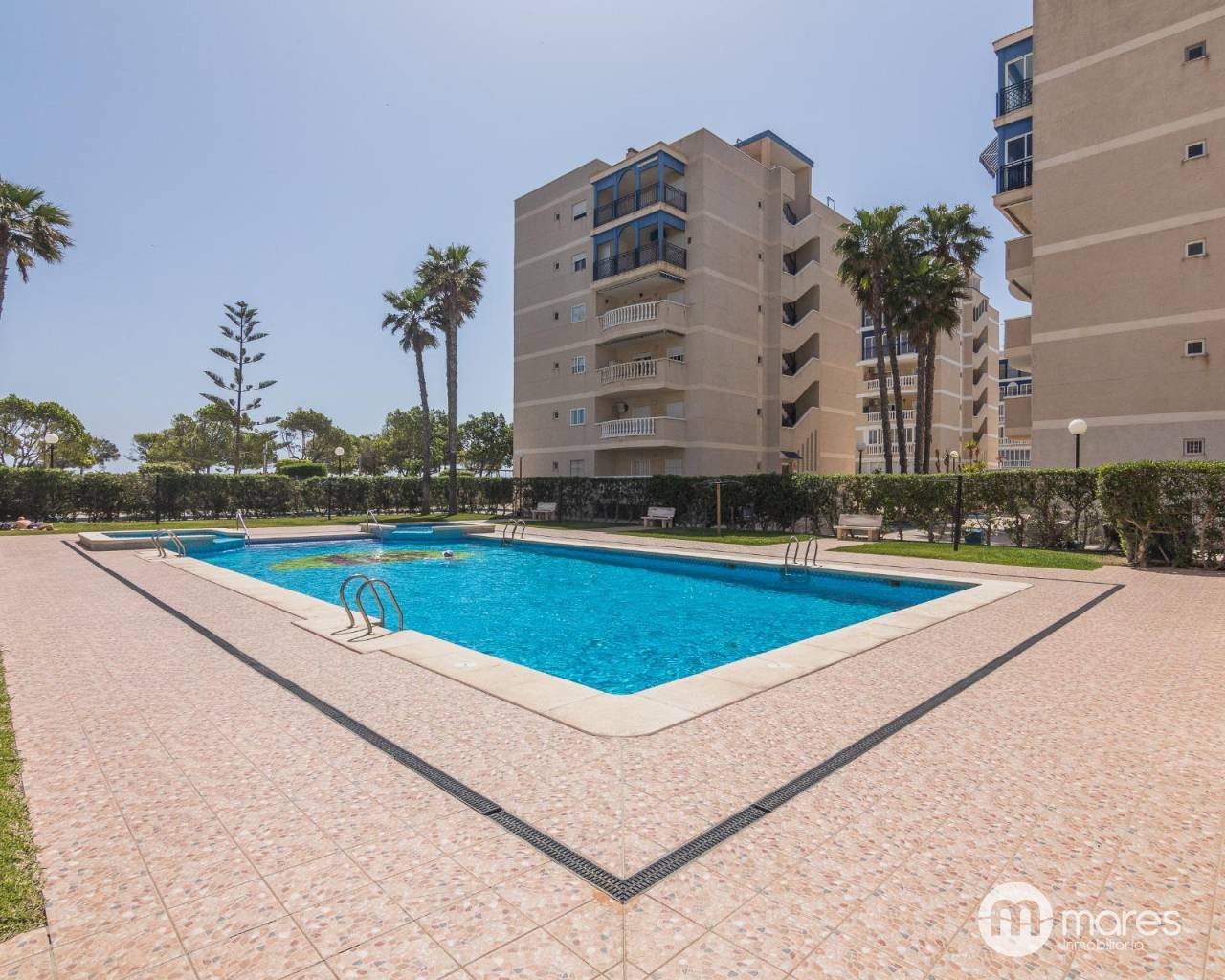Ground floor apartment - Sale - Arenales del sol - Arenales del Sol