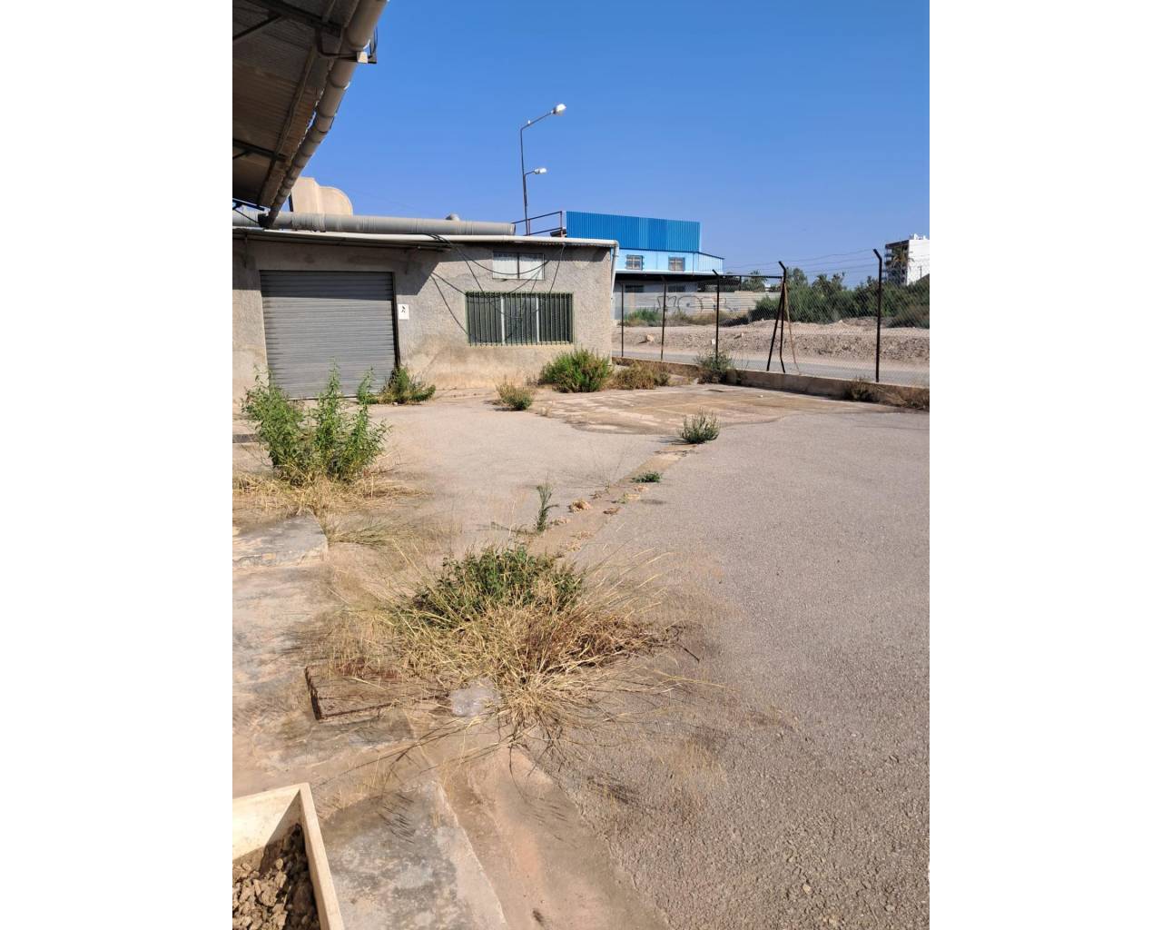 Industrial warehouse - Sale - Elche pedanias - Algoros