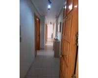 Long time Rental - Flat - Elche - Sector V-El Canal