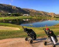 New Build - Villa - Monforte del Cid - Comunidad valenciana