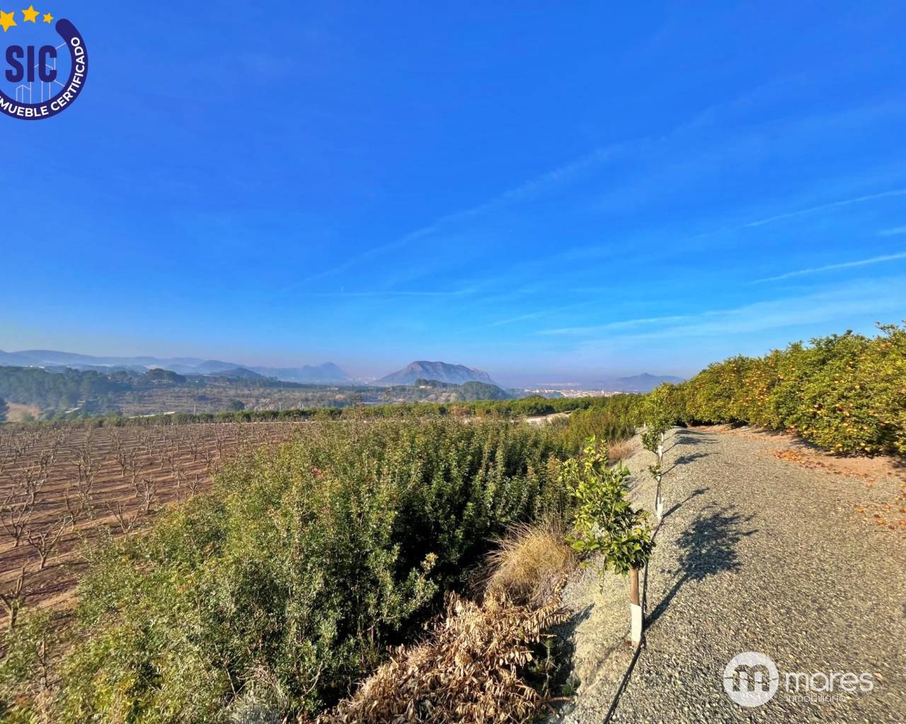 Parcela - Venta - Barxeta - BARXETA