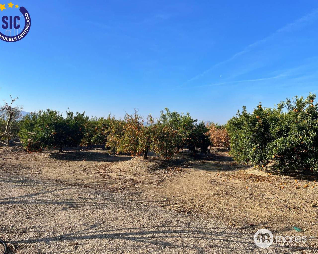 Parcela - Venta - Barxeta - BARXETA