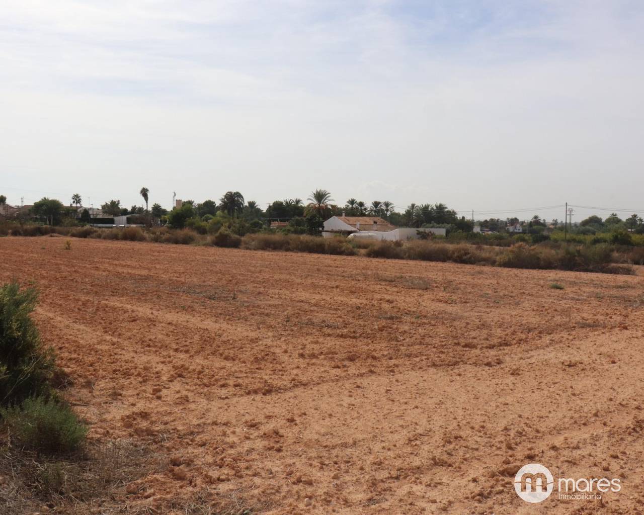 Plot of land - Sale - Elche pedanias - balsares