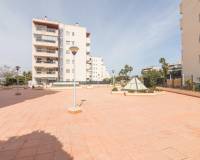 Sale - Apartment - Arenales del sol - Arenales del Sol