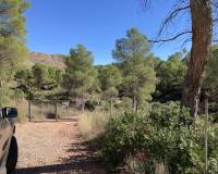 Sale - Building Site - Lietor - Castilla la mancha