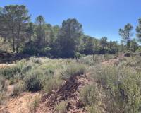 Sale - Building Site - Lietor - Castilla la mancha