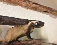 Sale - Building Site - Lietor - Castilla la mancha