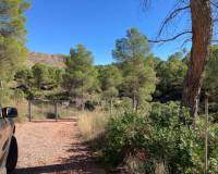 Sale - Building Site - Lietor - Castilla la mancha