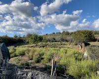 Sale - Building Site - Torremenga - Extremadura