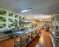 Sale - Building Site - Torremenga - Extremadura