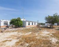 Sale - Country House - Elche - Carrus