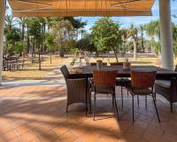 Sale - Country House - Elche pedanias - Alzabares