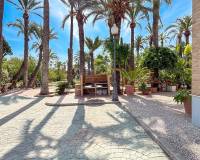 Sale - Country House - Elche pedanias - Alzabares