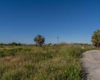 Sale - Country House - Elche pedanias - Derramador
