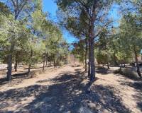 Sale - Country House - Elda - Las Trescientas - San Francisco