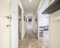 Sale - Flat - Elche - Asilo - Pisos Azules