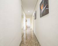 Sale - Flat - Elche - Asilo - Pisos Azules