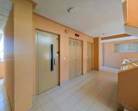 Sale - Flat - Elche - Playa arenales del sol