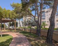 Sale - Flat - Elche - Playa arenales del sol