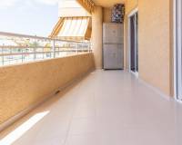 Sale - Flat - Elche - Playa arenales del sol