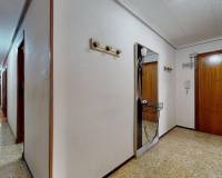 Sale - Flat - Elche - Plaza Crevillente-Juzgados