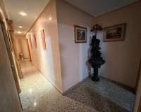 Sale - Flat - Elche - Plaza Madrid