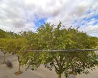 Sale - Flat - Elche - San Crispín