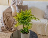Sale - Flat - Santa Pola - Calas de Santa Pola este