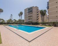 Sale - Ground floor apartment - Arenales del sol - Arenales del Sol