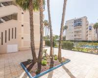 Sale - Ground floor apartment - Arenales del sol - Arenales del Sol