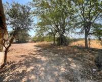 Sale - House - Elche pedanias - Jubalcoy