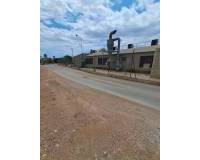Sale - Industrial warehouse - Elche pedanias - Algoros