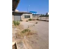 Sale - Industrial warehouse - Elche pedanias - Algoros