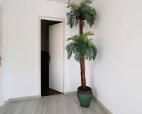 Sale - Industrial warehouse - Elche pedanias - Carretera del leon