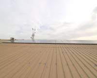 Sale - Industrial warehouse - Elche pedanias - Carretera del leon