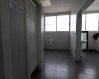 Sale - Industrial warehouse - Elche pedanias - Carretera del leon